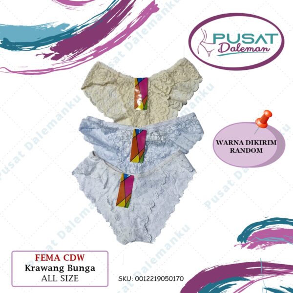 Celana Dalam 603/5017 WARNA RANDOM Brokat Sexy Transparan Nyaman Halus IMPORT Premium - Image 4