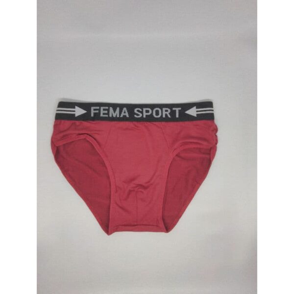 ECER Celana Dalam Pria Fema 151 Ban Sport Dus - Image 2