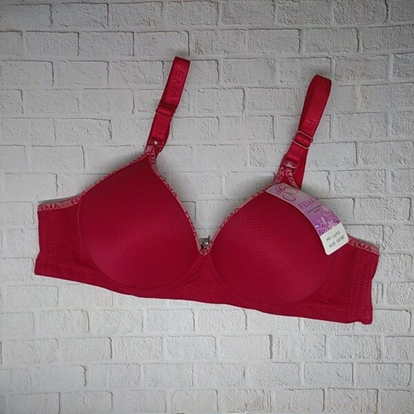 ECER BH BRA Fema 9250 Hak 3 Tanpa Kawat - Image 5
