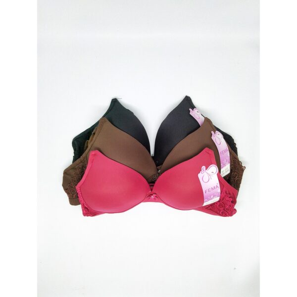 FEMA Official Shop Ecer 1 pcs Bh Bra 1851 Pengait 2 Ternyaman - Image 2