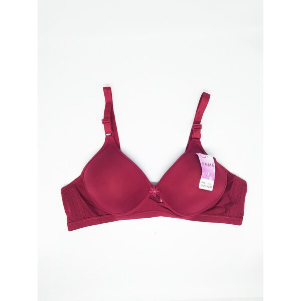 ECER BH BRA Fema 9186 Polos Hak 3 Busa Tipis - Image 4