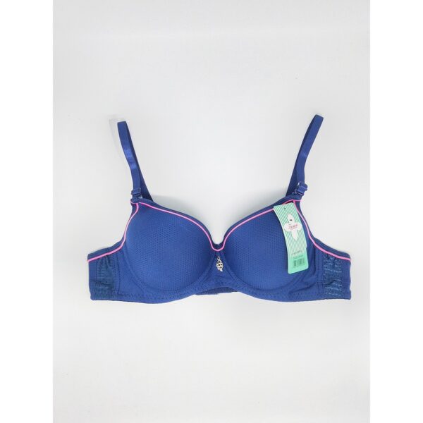 ECER BH BRA Fema 619 Polos Kawat - Image 2