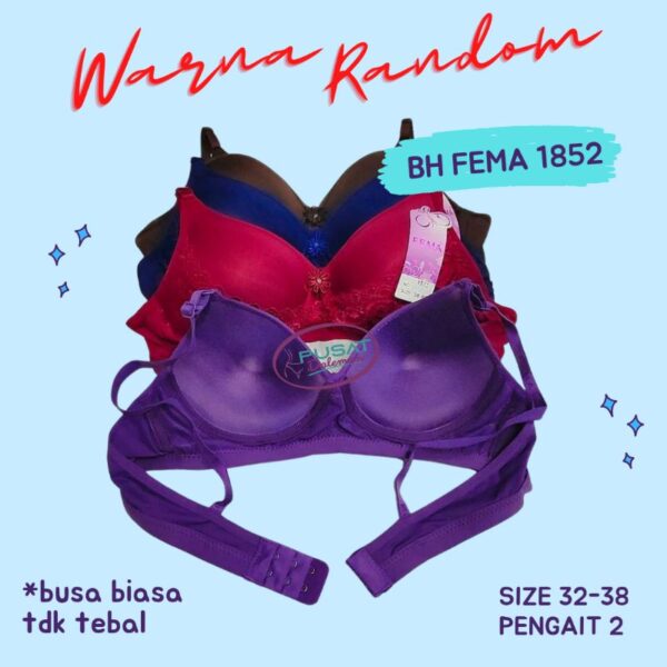 FEMA Official Shop Ecer 1 pcs Bh Bra 1852 Pengait 2 Ternyaman - Image 2