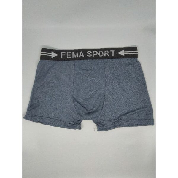 ECER Celana Dalam Pria Fema Boxer 152 Sport