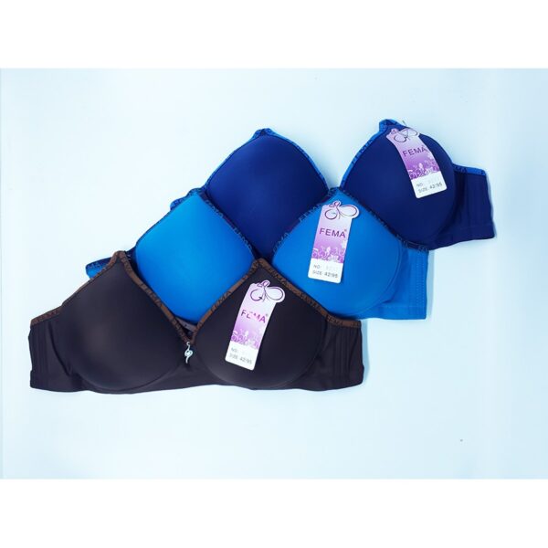 ECER BH BRA Fema 9231 Polos Hak 3 IMPORT Premium Nyaman - Image 4