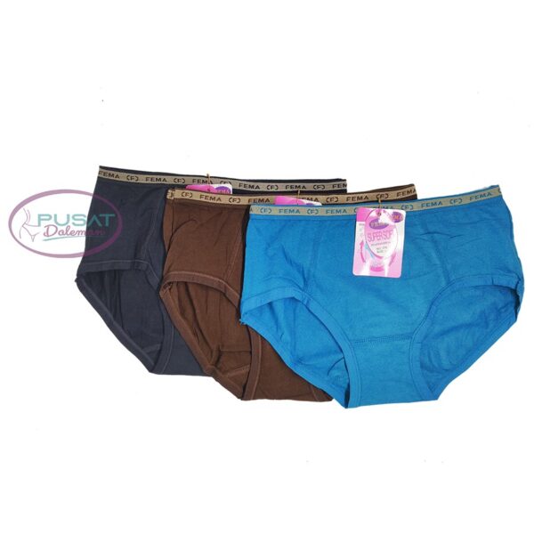 FEMA Official Shop Grosir Satu Lusin Celana Dalam Wanita 378 - Image 5