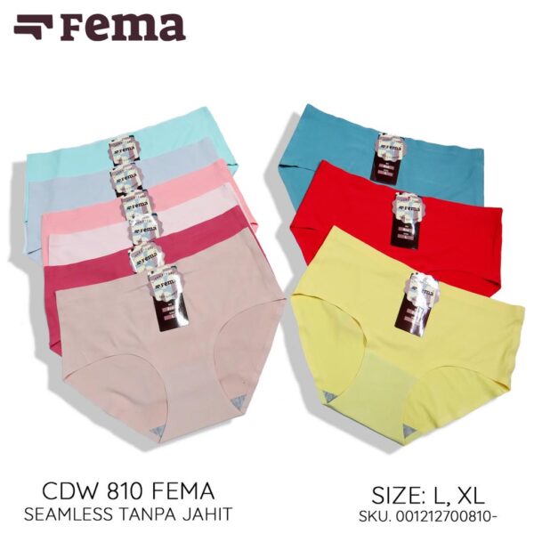 FEMA Official Shop GROSIR 1 Lusin Celana Dalam Wanita Seamless Tanpa Jahit Anti Nyeplak 073/810/K18/761 - Image 2