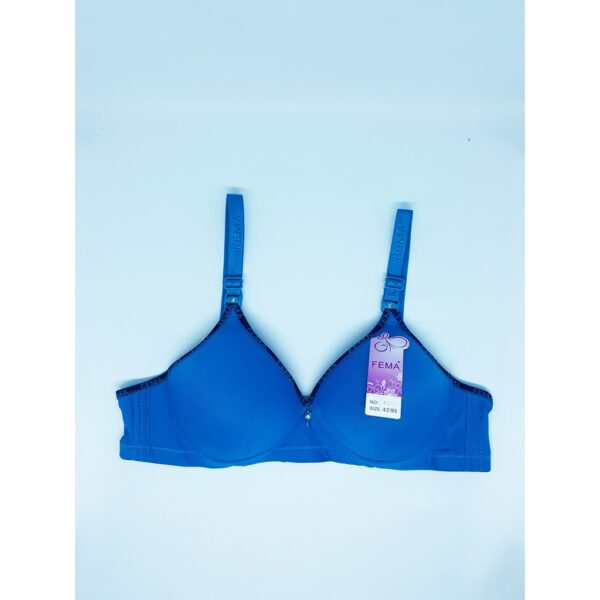 ECER BH BRA Fema 9231 Polos Hak 3 IMPORT Premium Nyaman - Image 5