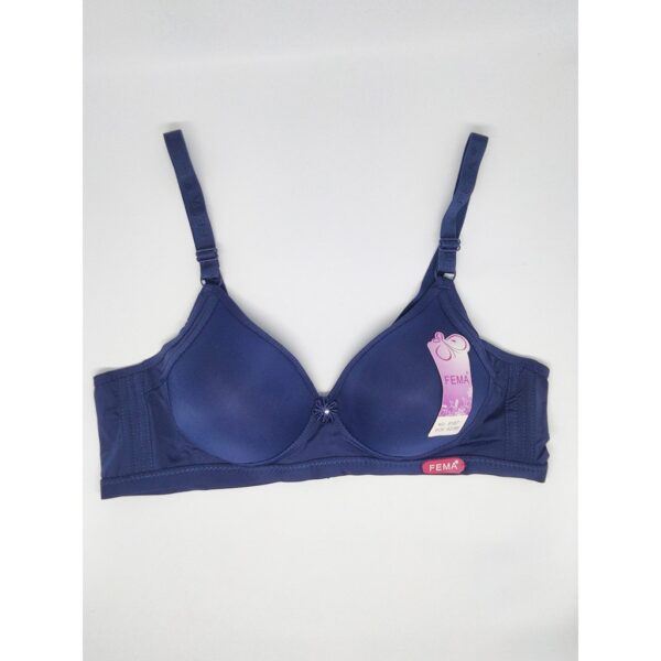 ECER BH BRA Fema 9187 Polos Hak 3 - Image 3