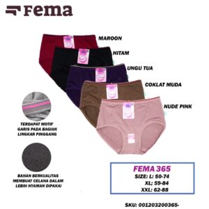 FEMA Grosir 1 Lusin Celana Dalam Wanita 365 Full Pori
