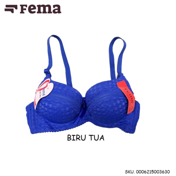 FEMA Official Shop Ecer 1 pcs Bh Bra E363 Motif Renda Tengah Import - Image 4