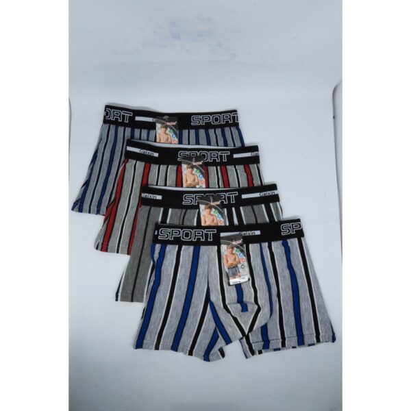 Celana Dalam Segiempat Boxer Anak Remaja Gaixin Motif Garis Salur Premium Nyaman Halus Import 928