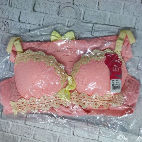 BH BRA SET KAWAT CUP KECIL Celana Dalam Panties Laierxiang Push Up Premium IMPORT 1402 - Image 2