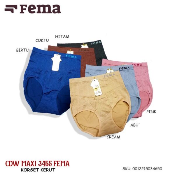 FEMA Official Shop Ecer 1 pcs Celana Dalam Wanita Korset 3465/3001/j105/105 Rajut Penutup Lemak - Image 3