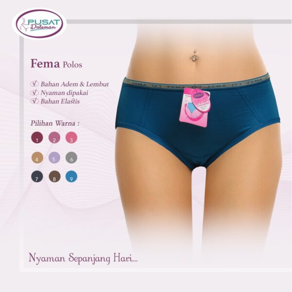 FEMA Official Shop Grosir Satu Lusin Celana Dalam Wanita 378 - Image 4