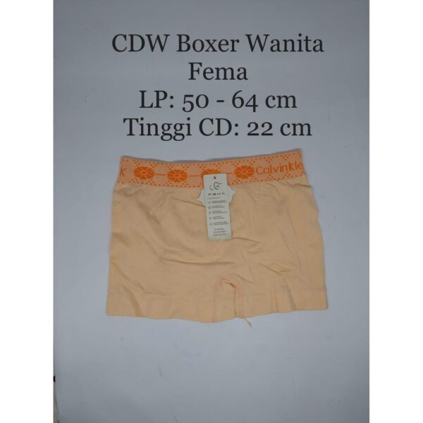 OBRALAN CD PANTIES CELANA DALAM WANITA PRIA TERMURAH! - Image 4