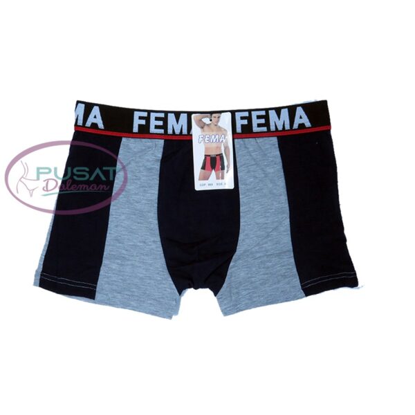 FEMA Official Shop Grosir Satu Lusin Celana Dalam Boxer Pria 888/248 Bahan Kaos - Image 3