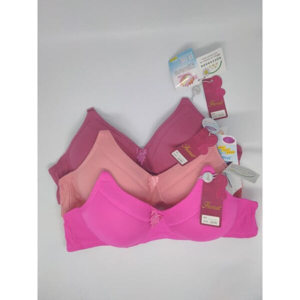 ECER BH BRA Fema 1018 Polos Hak 2 - Image 2