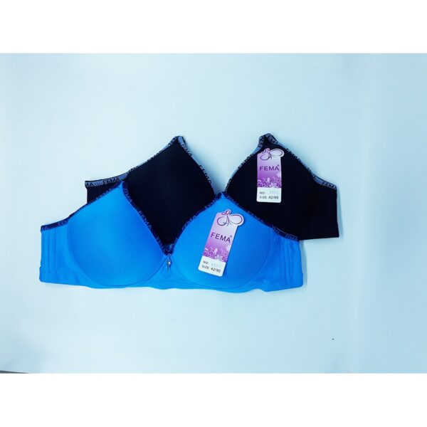 ECER BH BRA Fema 9231 Polos Hak 3 IMPORT Premium Nyaman - Image 3