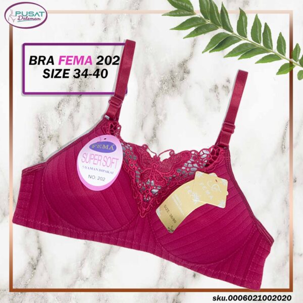 FEMA Official Shop Ecer 1 pcs Bh Bra 202/8998 Renda Kupu Import - Image 5