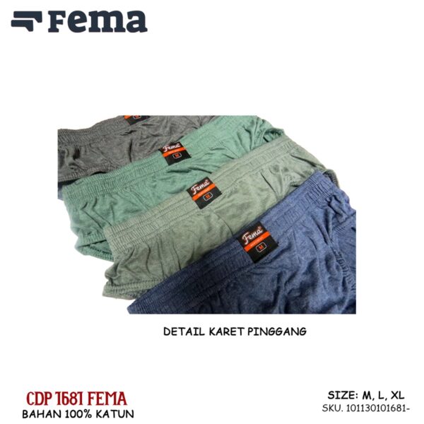 FEMA Official Shop Box isi 3 pcs Celana Dalam Pria Fema Katun 1681/1678 Gratis Box - Image 5