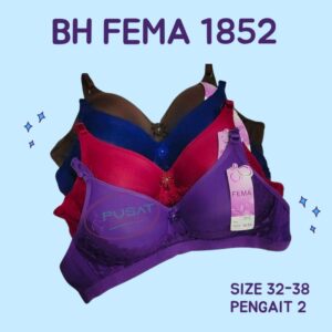 FEMA Official Shop Ecer 1 pcs Bh Bra 1852 Pengait 2 Ternyaman