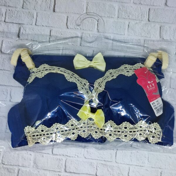 BH BRA SET KAWAT CUP KECIL Celana Dalam Panties Laierxiang Push Up Premium IMPORT 1402 - Image 3