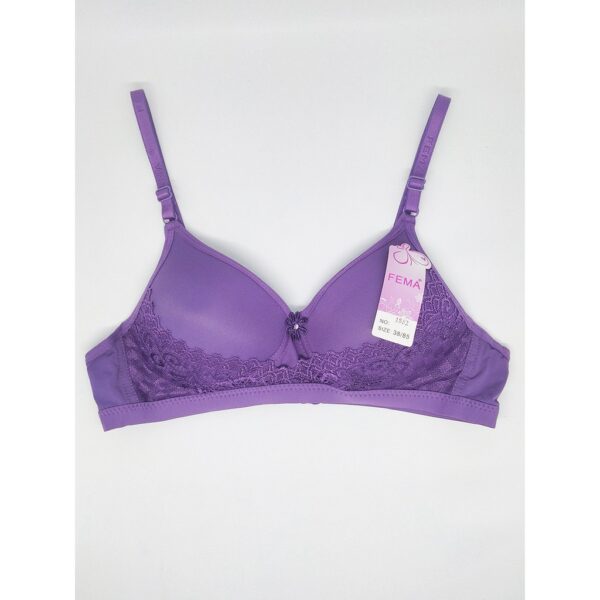 FEMA Official Shop Ecer 1 pcs Bh Bra 1852 Pengait 2 Ternyaman - Image 5