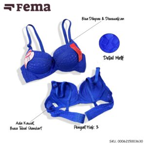 FEMA Official Shop Ecer 1 pcs Bh Bra E363 Motif Renda Tengah Import