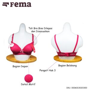 GROSIR BH BRA 2030 Fema Wanita Premium Motif Brokat Full Busa Tipis Tanpa Kawat Pengait Hak 3 IMPORT