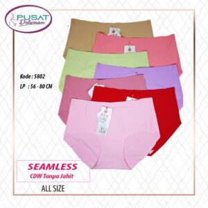 Celana Dalam Wanita Seamless tanpa jahit Premium quality Polos Bahan halus Sutra Import 5802