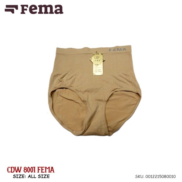 FEMA Official Shop Celana Dalam Wanita Maxi 8001 Rajut - Image 5