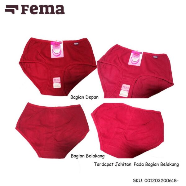 FEMA Official Shop Ecer 1 pcs Celana Dalam Wanita 618 Katun Halus Premium - Image 5