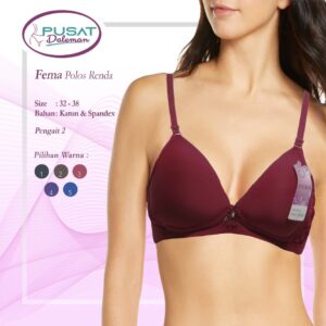 FEMA Official Shop Ecer 1 pcs Bh Bra 1851 Pengait 2 Ternyaman