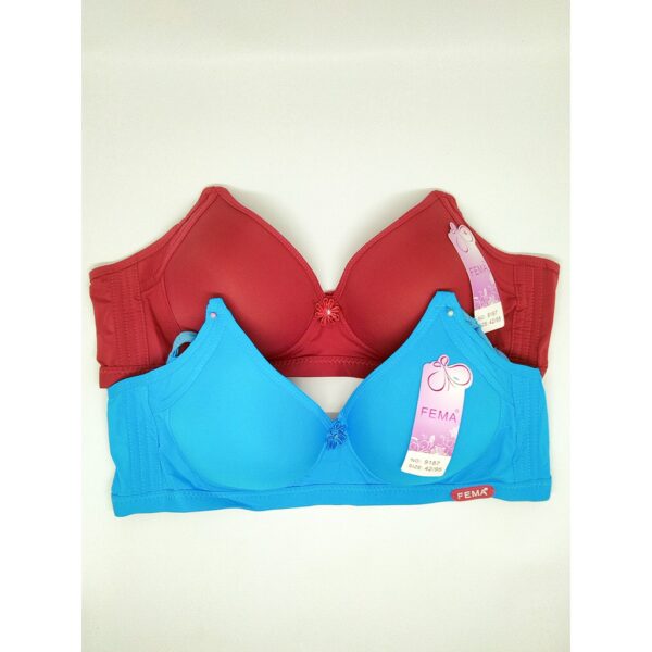 ECER BH BRA Fema 9187 Polos Hak 3 - Image 2