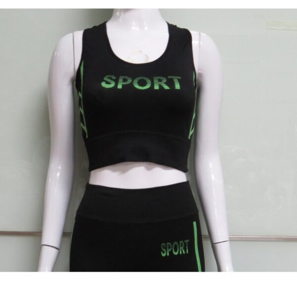 Setelan Olahraga Wanita Senam Training (Sport Bra + Celana Legging) FEMA 3101 + 9101 - Image 2