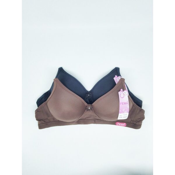 ECER BH BRA Fema 9160 Polos Hak 2 - Image 2