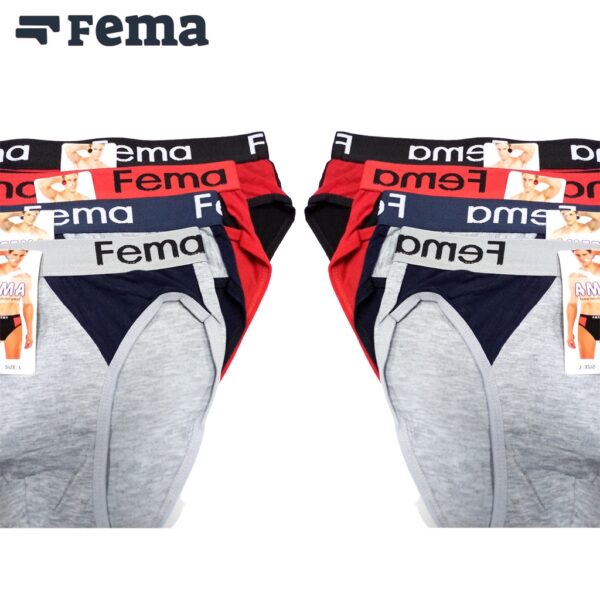 FEMA Official Shop Grosir dapat 12 pcs Celana Dalam Pria Fema 889 - Image 2