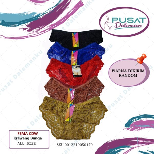 Celana Dalam 603/5017 WARNA RANDOM Brokat Sexy Transparan Nyaman Halus IMPORT Premium - Image 3