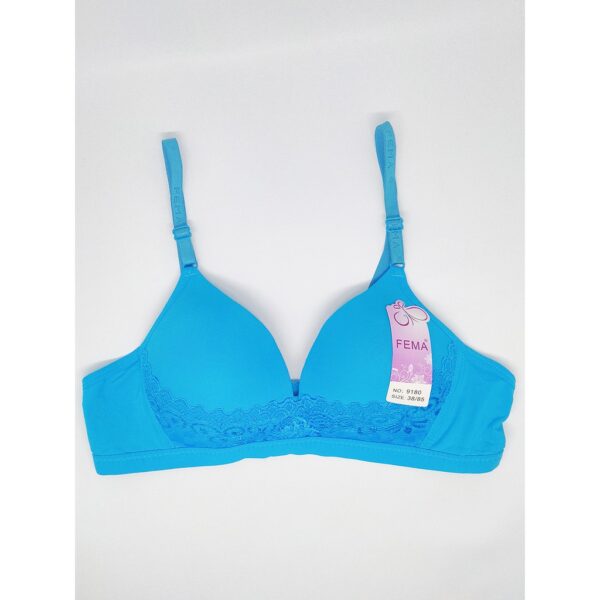 FEMA Official Shop Ecer 1 pcs Bh Bra 9180 Pengait 2 Bahan Halus Nyaman