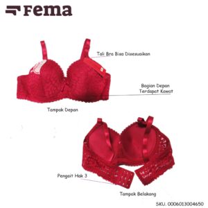FEMA Official Shop Ecer 1 pcs Bh Bra 465 Brokat Motif Bunga Import