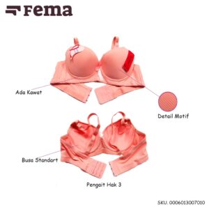 FEMA Official Shop 1pcs Bra BH 701 Salur