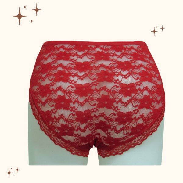 Obral Clearance Sale Ecer 1 pcs Celana Dalam Wanita Sexy Brokat Jumbo XXL - Image 3