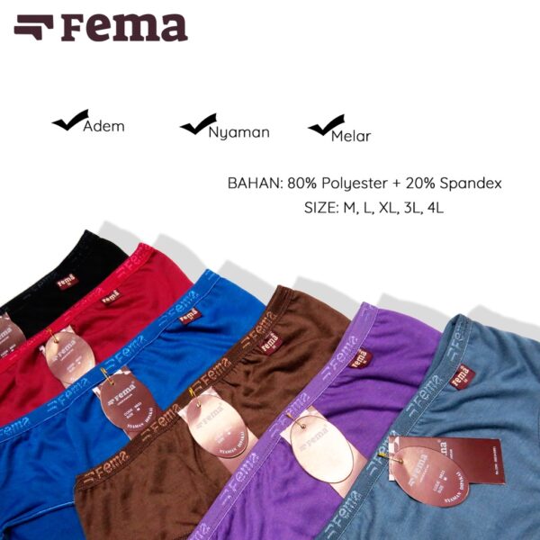 FEMA Official Shop ECER 1 pcs Celana Dalam Wanita 8833 Polos - Gambar 3