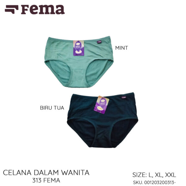 FEMA Official Shop ECER 1 pcs Celana Dalam Wanita Katun Premium 313 Polos - Image 3