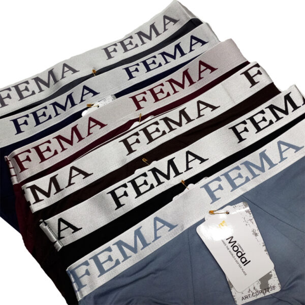 FEMA Official Shop Grosir Satu Lusin Celana Dalam Segitiga 7738 - Image 4