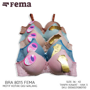 FEMA Official Shop Ecer 1 pcs BH Bra 8015 Kotak Gigi Walang