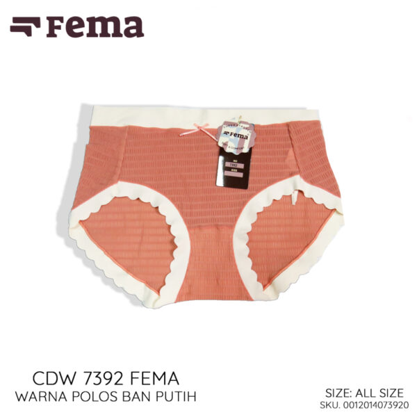 FEMA Official Shop Celana Dalam Wanita Premium Seamless 7392 Korea - Image 4