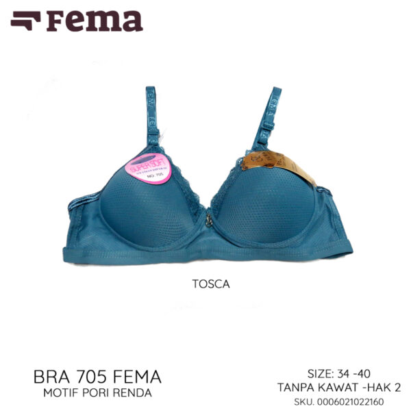 FEMA Official Shop Ecer 1 pcs Bh Bra 705 Pori Renda - Gambar 4