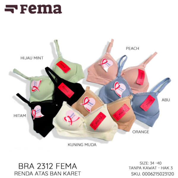 FEMA Official Shop Ecer 1 pcs BH Bra 2312/ 8046 Salur Renda Atas Ban Karet - Image 3